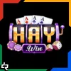 haywin